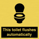 this-toilet-flushes-automatically~